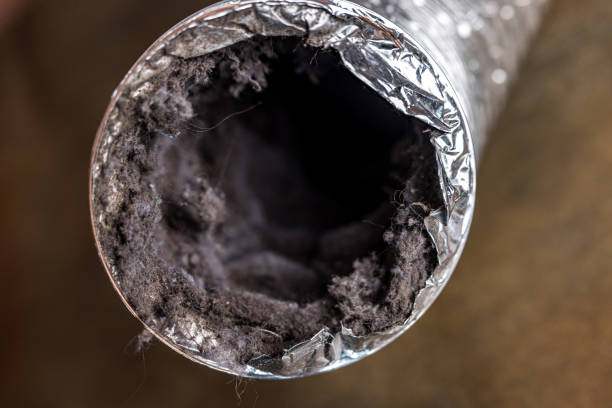 Best Air Duct Mold Removal  in Beulah, ND