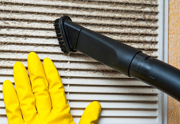 Best Ductwork Cleaning Services  in Beulah, ND